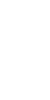 Shape Image